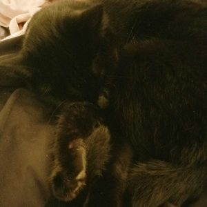 Meet your Posher, Aleciah